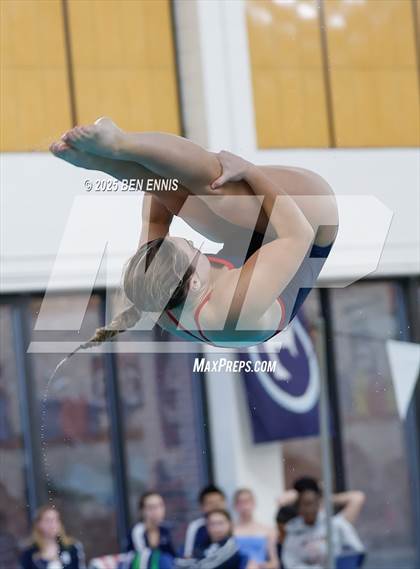 Thumbnail 1 in Lovett's Invitational (Diving) photogallery.