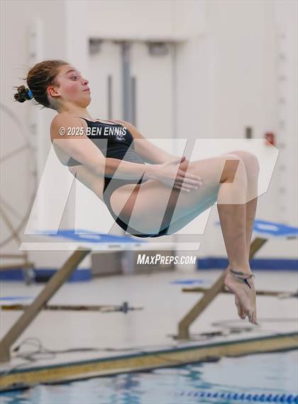 Thumbnail 1 in Lovett's Invitational (Diving) photogallery.