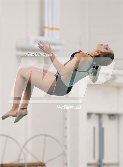 Thumbnail 1 in Lovett's Invitational (Diving) photogallery.