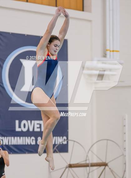 Thumbnail 1 in Lovett's Invitational (Diving) photogallery.