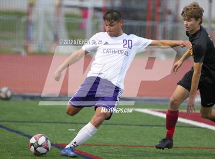 Thumbnail 3 in Cathedral vs. Torrey Pines (CIF SoCal Regional D1 Semifinal) photogallery.