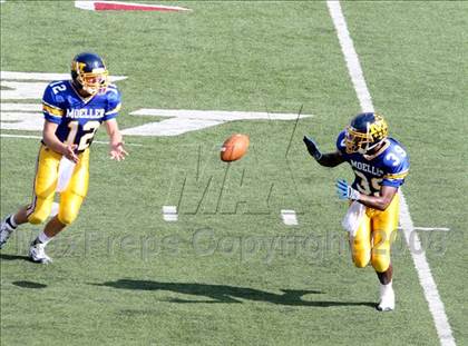 Thumbnail 3 in Findlay @ Archbishop Moeller photogallery.