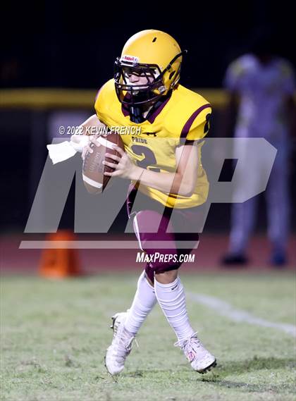 Thumbnail 3 in Mountain Pointe @ Valley Vista photogallery.