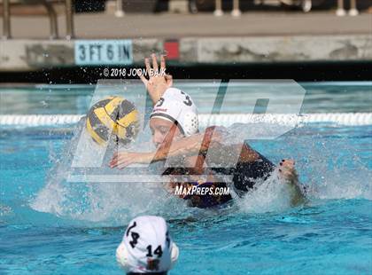 Thumbnail 3 in Redwood vs. Amador Valley photogallery.