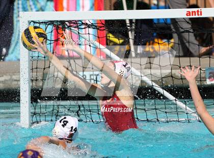 Thumbnail 1 in Redwood vs. Amador Valley photogallery.