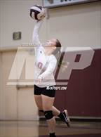 Photo from the gallery "Glenn @ Bellflower"