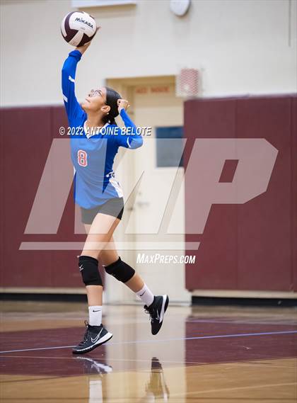 Thumbnail 3 in Glenn @ Bellflower photogallery.