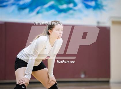 Thumbnail 1 in Glenn @ Bellflower photogallery.