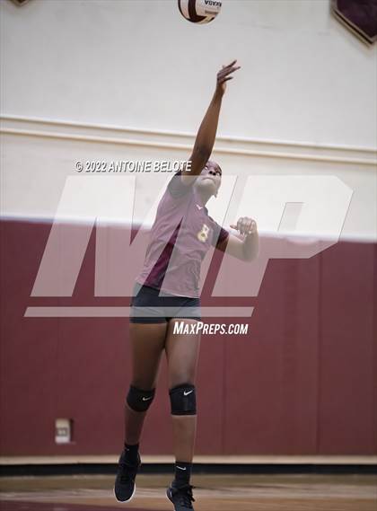 Thumbnail 3 in Glenn @ Bellflower photogallery.
