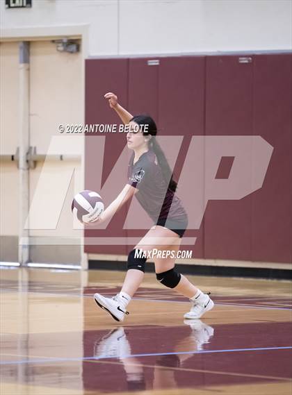 Thumbnail 3 in Glenn @ Bellflower photogallery.