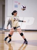 Photo from the gallery "Glenn @ Bellflower"