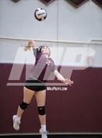 Photo from the gallery "Glenn @ Bellflower"