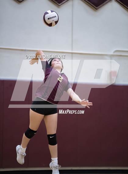 Thumbnail 3 in Glenn @ Bellflower photogallery.