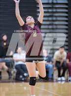 Photo from the gallery "Glenn @ Bellflower"