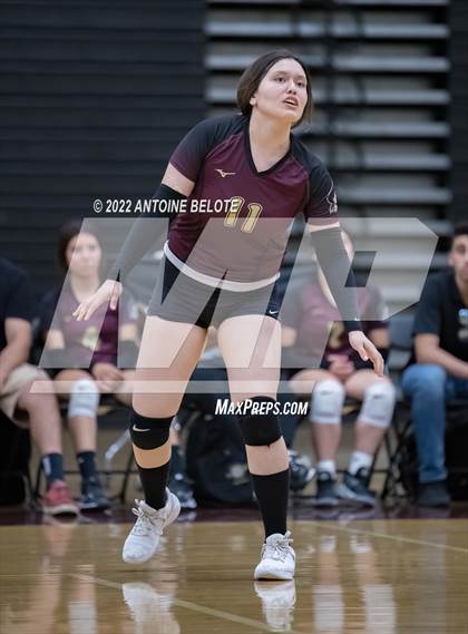 Thumbnail 3 in Glenn @ Bellflower photogallery.