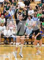 Photo from the gallery "Pinnacle @ Sunnyslope"