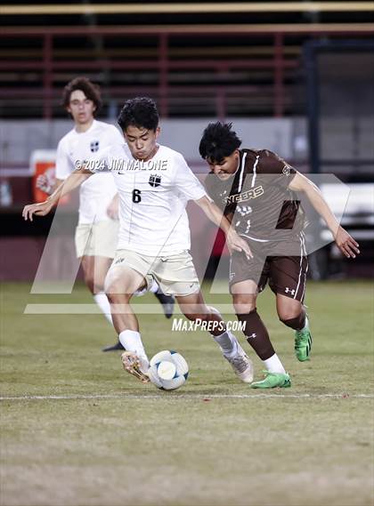 Thumbnail 3 in Archbishop Mitty vs. Saint Francis (CIFCCS D1 Championship) photogallery.