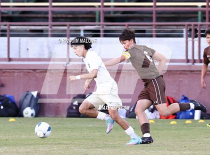 Thumbnail 2 in Archbishop Mitty vs. Saint Francis (CIFCCS D1 Championship) photogallery.