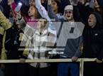 Photo from the gallery "Paw Paw @ Niles (MHSAA Division 4 Second Round)"