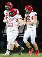 Photo from the gallery "Paw Paw @ Niles (MHSAA Division 4 Second Round)"