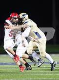 Photo from the gallery "Paw Paw @ Niles (MHSAA Division 4 Second Round)"