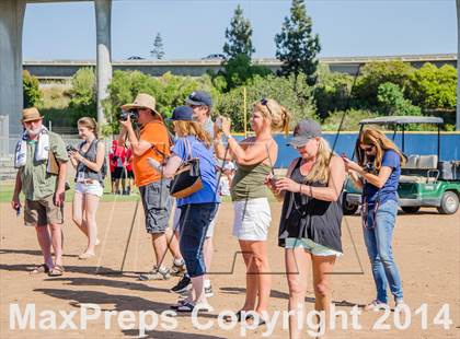 Thumbnail 1 in San Benito vs. Carlmont (CIF CCS D1 Final) photogallery.