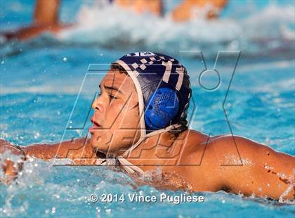 Thumbnail 2 in Alemany @ Notre Dame photogallery.
