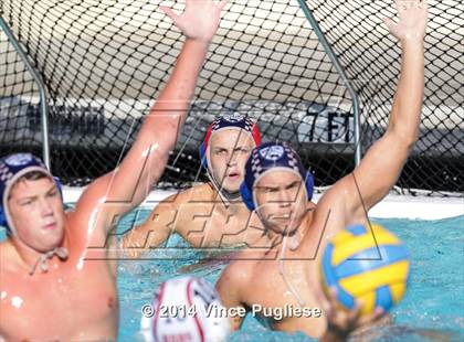 Thumbnail 1 in Alemany @ Notre Dame photogallery.