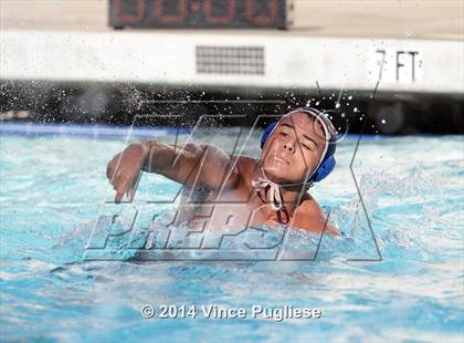 Thumbnail 1 in Alemany @ Notre Dame photogallery.