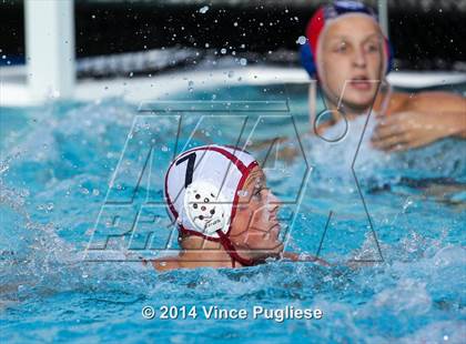 Thumbnail 1 in Alemany @ Notre Dame photogallery.