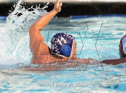 Thumbnail 2 in Alemany @ Notre Dame photogallery.