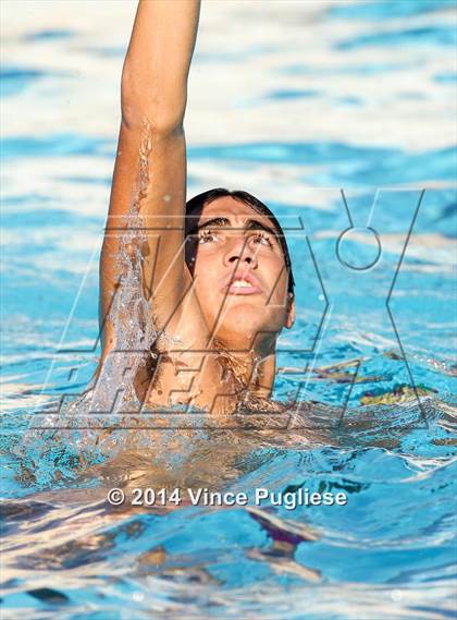 Thumbnail 1 in Alemany @ Notre Dame photogallery.