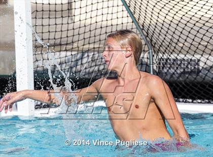 Thumbnail 1 in Alemany @ Notre Dame photogallery.