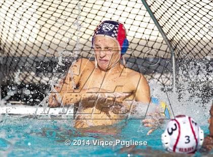 Thumbnail 1 in Alemany @ Notre Dame photogallery.
