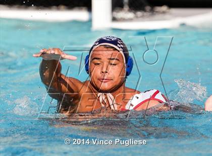 Thumbnail 1 in Alemany @ Notre Dame photogallery.