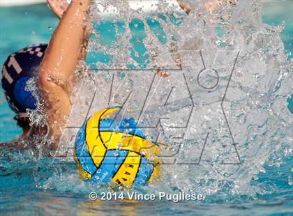 Thumbnail 3 in Alemany @ Notre Dame photogallery.