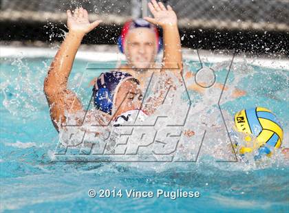 Thumbnail 3 in Alemany @ Notre Dame photogallery.