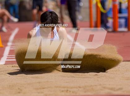 Thumbnail 1 in Huskie Twilight (High & Triple Jump) photogallery.