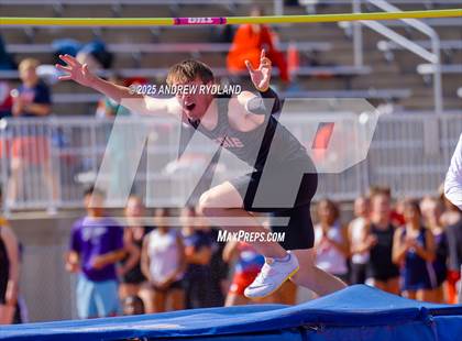 Thumbnail 2 in Huskie Twilight (High & Triple Jump) photogallery.
