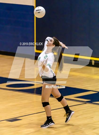 Thumbnail 2 in Tampa Catholic @ Land O' Lakes photogallery.
