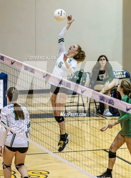 Thumbnail 3 in Tampa Catholic @ Land O' Lakes photogallery.