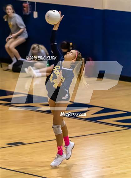 Thumbnail 2 in Tampa Catholic @ Land O' Lakes photogallery.