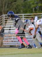 Photo from the gallery "South Central @ Havelock"