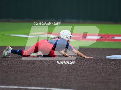 Thumbnail 3 in Cypress Springs @ Cypress Woods photogallery.
