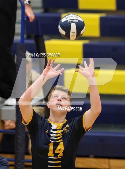 Thumbnail 2 in Irondequoit @ Spencerport photogallery.