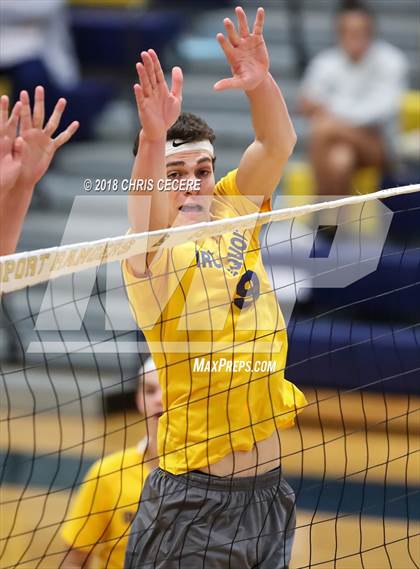 Thumbnail 1 in Irondequoit @ Spencerport photogallery.