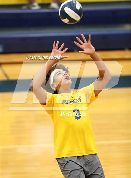 Thumbnail 3 in Irondequoit @ Spencerport photogallery.