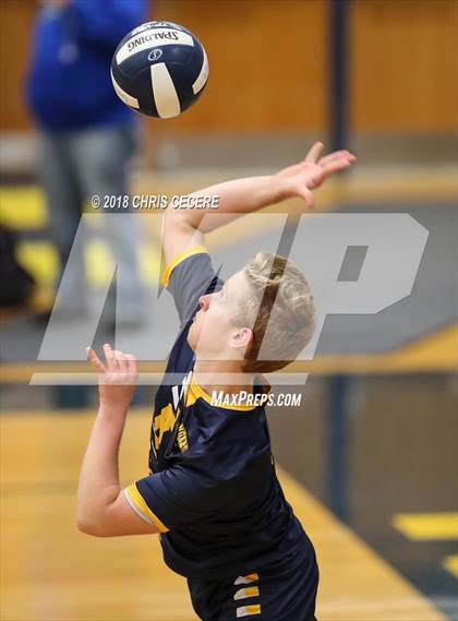 Thumbnail 3 in Irondequoit @ Spencerport photogallery.