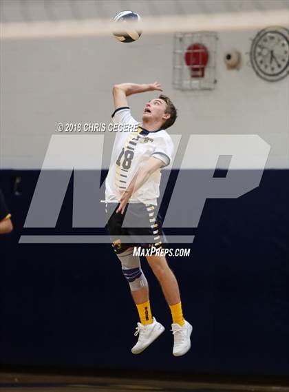 Thumbnail 1 in Irondequoit @ Spencerport photogallery.