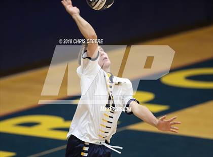 Thumbnail 2 in Irondequoit @ Spencerport photogallery.